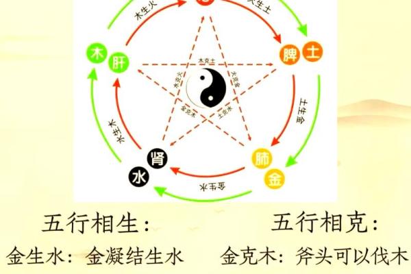 五行性格解析：避免陷入性格塑造的误区