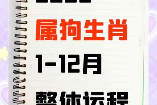命理中狗能改运吗？揭秘如何通过八字调整命运