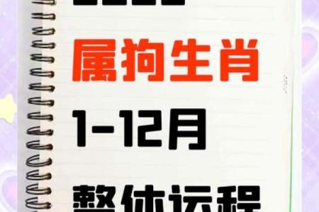 命理中狗能改运吗？揭秘如何通过八字调整命运