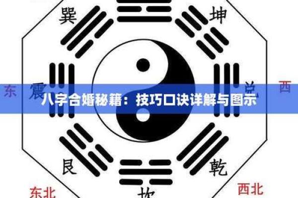 揭秘辛亥时八字命理：如何通过命理来转运与合婚？
