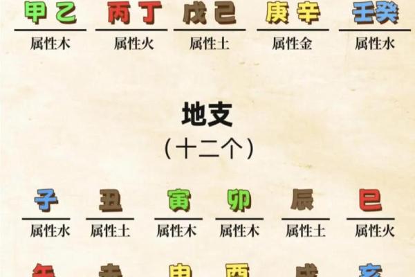 揭秘命理真伪：能改运吗？合婚看什么？