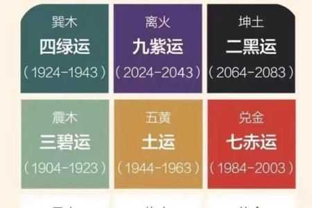 紫五行性格解析：如何改变格局，让你的生活焕然一新？