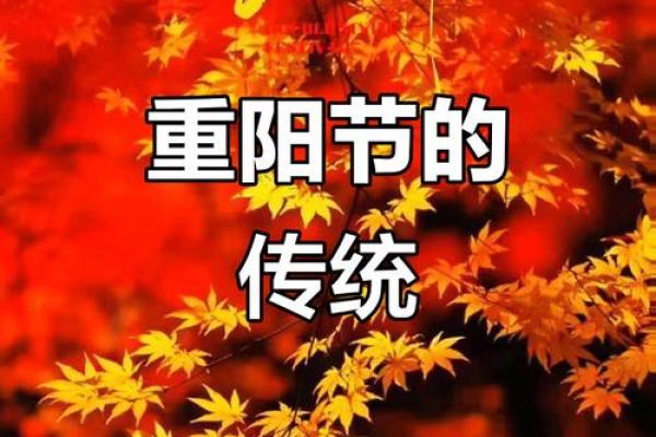 重阳节：登高祈安，传承道教长寿文化