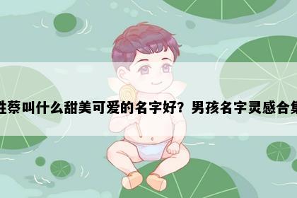 姓蔡叫什么甜美可爱的名字好？男孩名字灵感合集