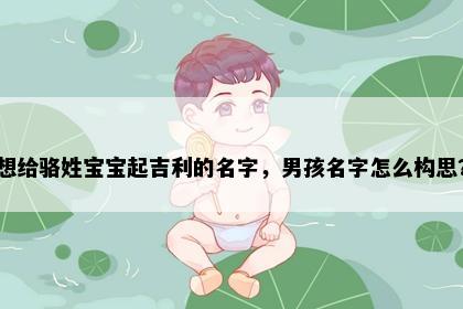 想给骆姓宝宝起吉利的名字，男孩名字怎么构思？