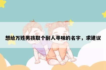 想给万姓男孩取个耐人寻味的名字，求建议