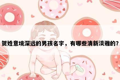 贺姓意境深远的男孩名字，有哪些清新淡雅的？