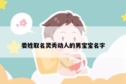 娄姓取名灵秀动人的男宝宝名字