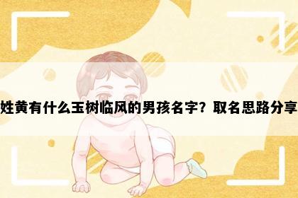 姓黄有什么玉树临风的男孩名字？取名思路分享