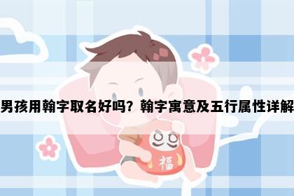 男孩用翰字取名好吗？翰字寓意及五行属性详解