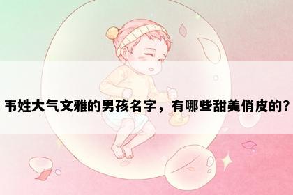 韦姓大气文雅的男孩名字，有哪些甜美俏皮的？