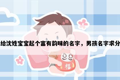 想给沈姓宝宝起个富有韵味的名字，男孩名字求分享