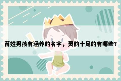 苗姓男孩有涵养的名字，灵韵十足的有哪些？