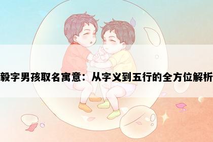 毅字男孩取名寓意：从字义到五行的全方位解析