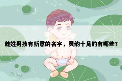 魏姓男孩有新意的名字，灵韵十足的有哪些？