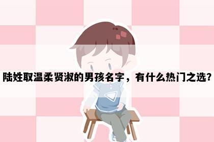 陆姓取温柔贤淑的男孩名字，有什么热门之选？
