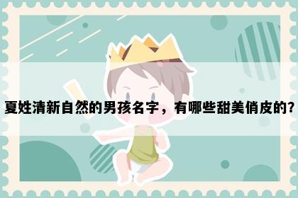 夏姓清新自然的男孩名字，有哪些甜美俏皮的？