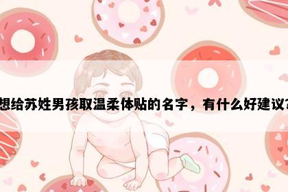 想给苏姓男孩取温柔体贴的名字，有什么好建议？