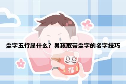 尘字五行属什么？男孩取带尘字的名字技巧