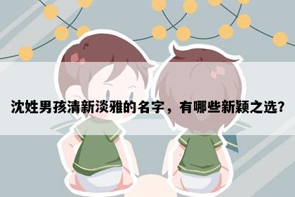 沈姓男孩清新淡雅的名字，有哪些新颖之选？