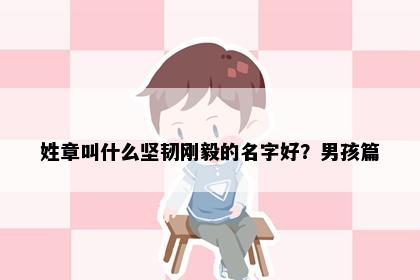 姓章叫什么坚韧刚毅的名字好？男孩篇