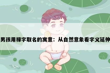 男孩用禄字取名的寓意：从自然意象看字义延伸