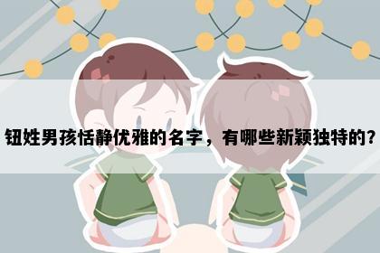 钮姓男孩恬静优雅的名字，有哪些新颖独特的？