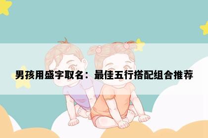 男孩用盛字取名：最佳五行搭配组合推荐