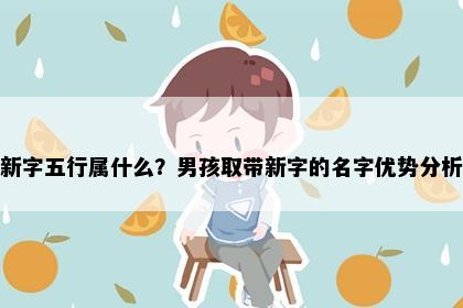 新字五行属什么？男孩取带新字的名字优势分析