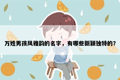 万姓男孩风雅韵的名字，有哪些新颖独特的？