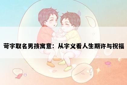 苛字取名男孩寓意：从字义看人生期许与祝福