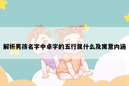 解析男孩名字中卓字的五行属什么及寓意内涵
