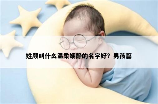 姓顾叫什么温柔娴静的名字好？男孩篇
