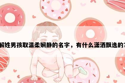 解姓男孩取温柔娴静的名字，有什么潇洒飘逸的？